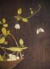【已售】独角鹿西洋古董 19世纪末日本明治时期出品篮果飞蝶主题芝山象嵌饰板 商品缩略图4