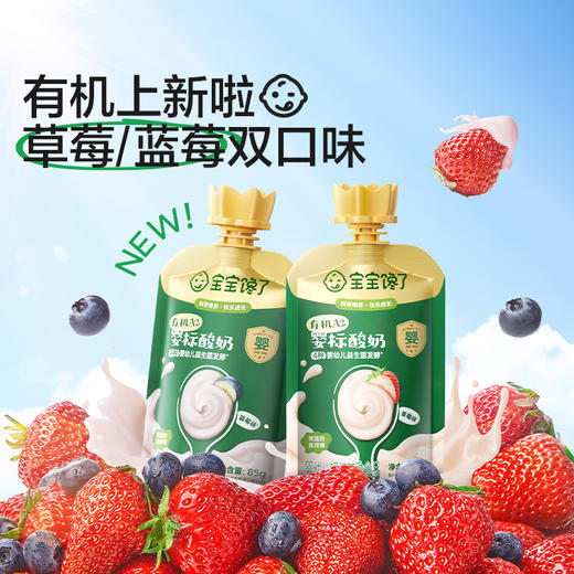 宝宝馋了 有机A2婴标酸奶 多口味组合85g*10/85g*12 商品图1