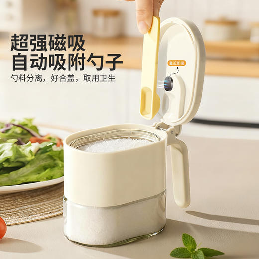 摩登主妇磁吸料勺分离调料盒家用收纳调味瓶罐密封防潮盐罐调料罐 商品图1