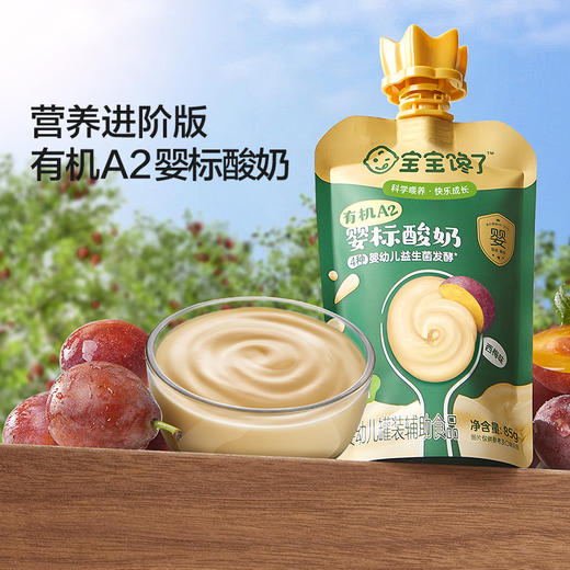 宝宝馋了 有机A2婴标酸奶 多口味组合85g*10/85g*12 商品图0