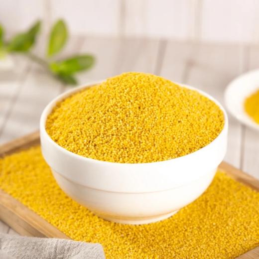 内蒙赤峰黄小米【2025年秋收新小米】 商品图5