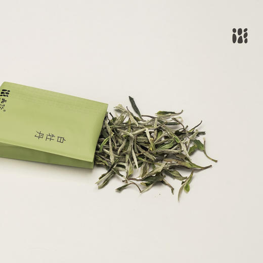 「北路白茶」春陌 福鼎白茶白牡丹2025明前茶叶高山茶叶100g 商品图2