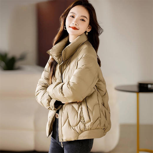 丁摩 立领轻薄短款羽绒服女F6549 商品图1