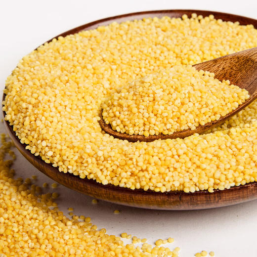 七河源黄小米1.5kg【※】 商品图5