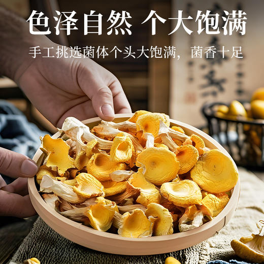派绅有机鸡油菌  干货古田特产黄金菇黄蘑菇40g/袋【中原仓】【京东快递送货上门】 商品图5