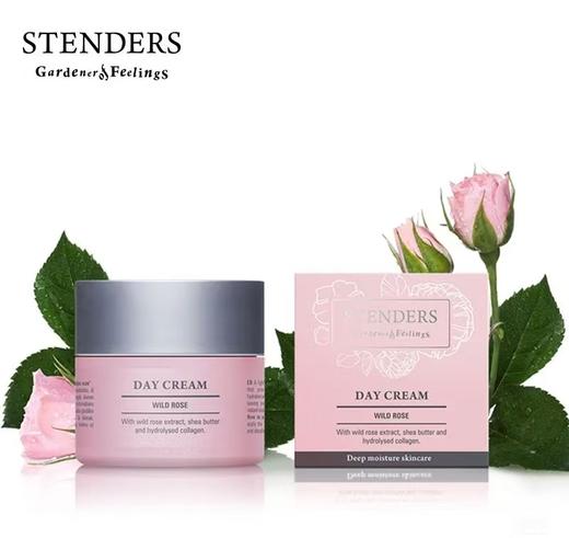 STENDERS 施丹兰 野玫瑰沁透保湿日霜 商品图1