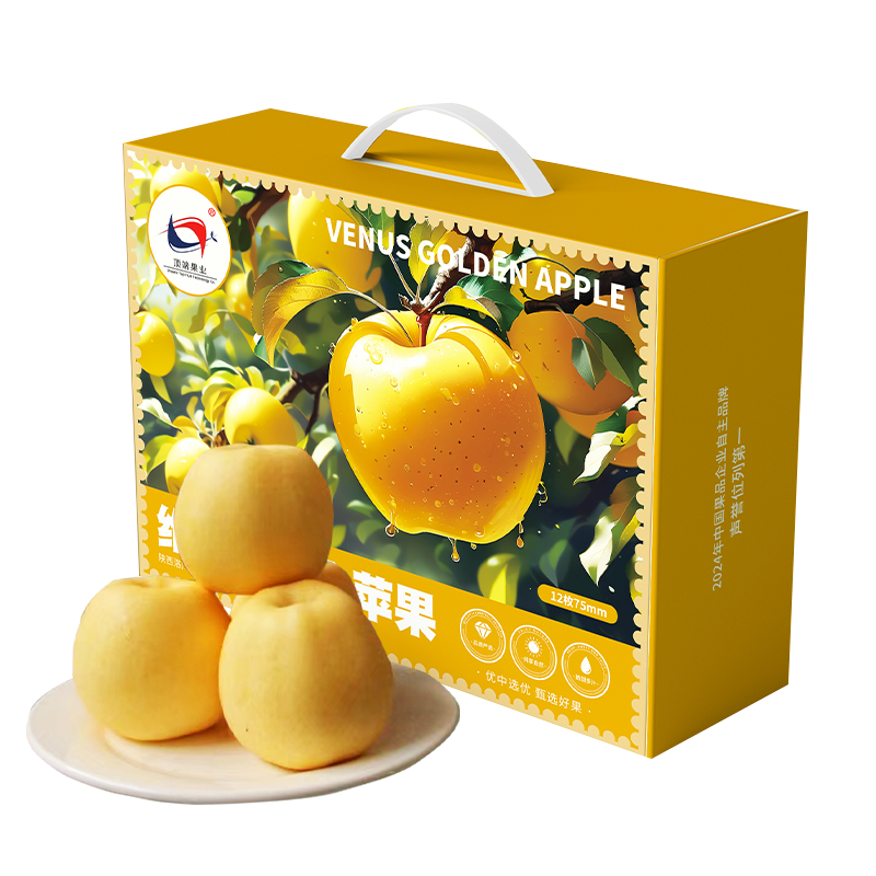 【维纳斯黄金苹果】12枚75mm中果纯甜无酸 新鲜陕西洛川苹果新品种黄金维纳斯苹果 5斤左右