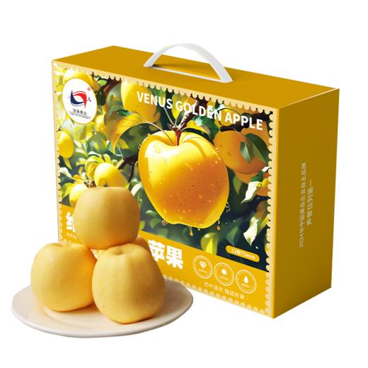 【维纳斯黄金苹果】12枚75mm中果纯甜无酸 新鲜陕西洛川苹果新品种黄金维纳斯苹果 5斤左右 商品图0