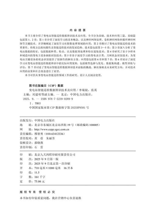 变电站智能巡检数据辨识技术及应用 商品图3