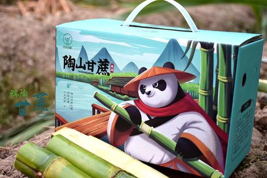 【顺丰包邮】2025年头茬鲜果上市可以手撕的陶山甘蔗 青皮果蔗 皮薄质脆 纤维细而少 汁水充沛 妥妥的糖水炸弹 甘蔗爱好者不可错过 基地直邮 商品图7