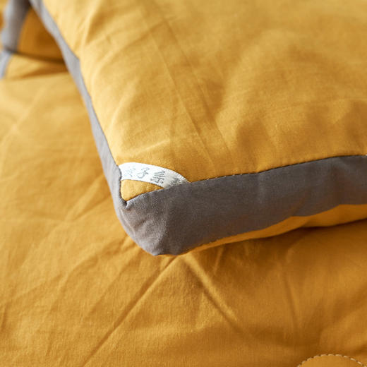 三泰龙 里外全棉纯色冬被新疆长绒棉加厚被子8斤 商品图2