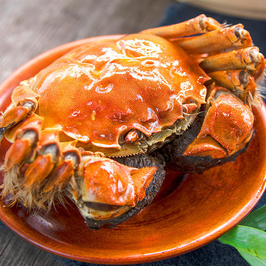 【活蟹】苏州精品大闸蟹   活蟹直发 【深莞区专属】 商品图5