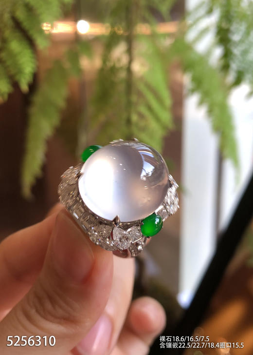 5256310，蛋面戒指。具体价格微信咨询 商品图2