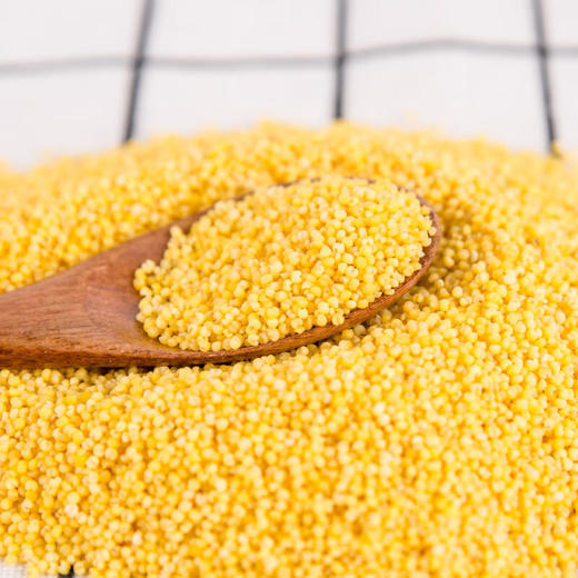 七河源黄小米1.5kg【※】 商品图4