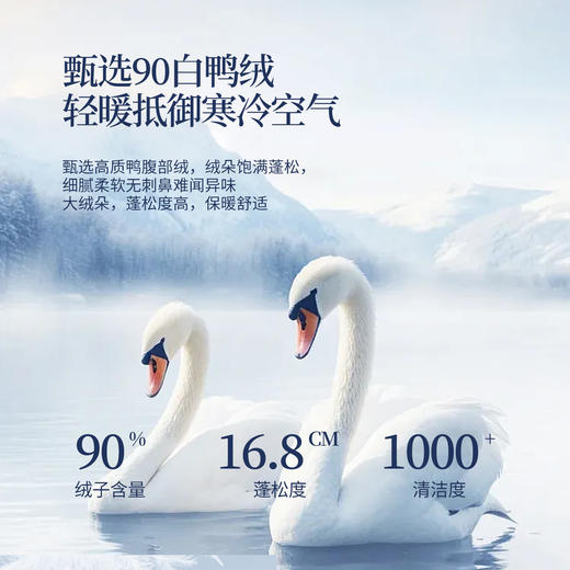 【年货节】熙世界假两件格纹拼接短款羽绒服女2025冬季新款白鸭绒面包服外套 商品图2