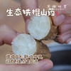 生态铁棍山药（基地直发—京东快递）| 5斤装，来自河南武陟，生产者：原国星【合作生产、公平贸易】 商品缩略图0