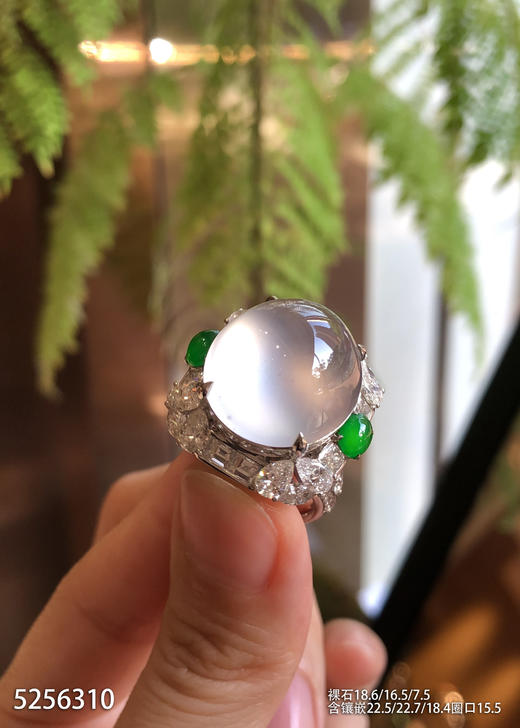 5256310，蛋面戒指。具体价格微信咨询 商品图1