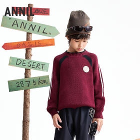 【实体店同款】男童圆领棉线衫冬季新款安奈儿童装AB544031