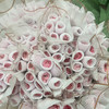 河内.樱花粉 商品缩略图1