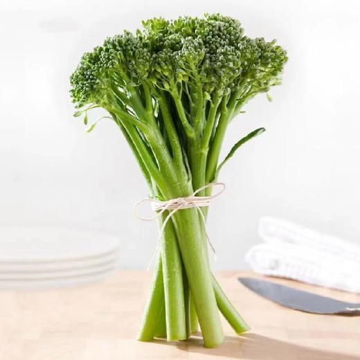 云南高山西兰苔【500克】 商品图3