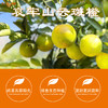 云南哀牢山生态冰糖橙 源于“褚橙原产地”玉溪新平哀牢山 清甜可口、化渣多汁、皮薄肉厚 生态种植  200项农残检测 商品缩略图4