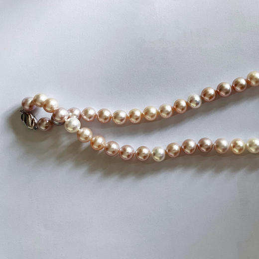 CLASSIC系列 淡水珍珠 项链 商品图1