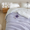 【白禾】【新款】白禾A火山双面绒舒适被芯 商品缩略图2