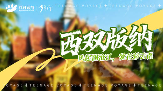 风起澜沧江，爱在彩云南——西双版纳 商品图0