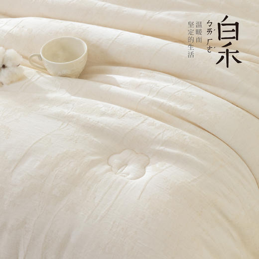 【白禾】【白禾上新】【秋冬新款上新】A棉麻脱脂棉花被芯 棉麻面料   纯棉填充 商品图3