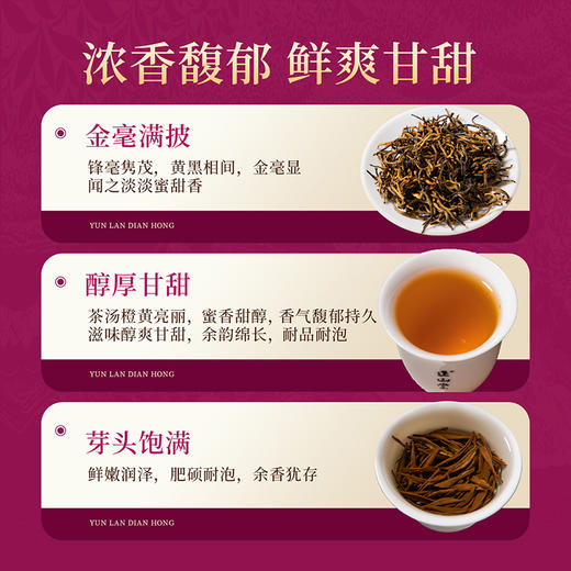 包装改版 正山堂滇红茶骏眉中国云澜 特级云南滇红凤庆红茶正宗50g 商品图1