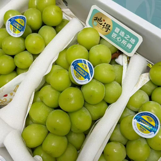 特级·晴王🍇 ✨引进日本优良品种，出身即不凡！入口满腔果香，香甜.“集清香、果香与花香于一身的梦幻葡萄”颜值出众，颗颗犹如绿宝石一般😍 商品图2