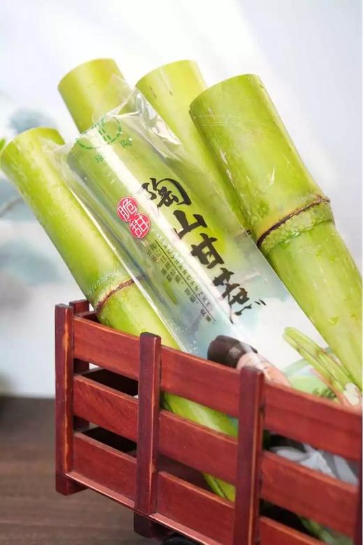 【顺丰包邮】2025年头茬鲜果上市可以手撕的陶山甘蔗 青皮果蔗 皮薄质脆 纤维细而少 汁水充沛 妥妥的糖水炸弹 甘蔗爱好者不可错过 基地直邮 商品图2