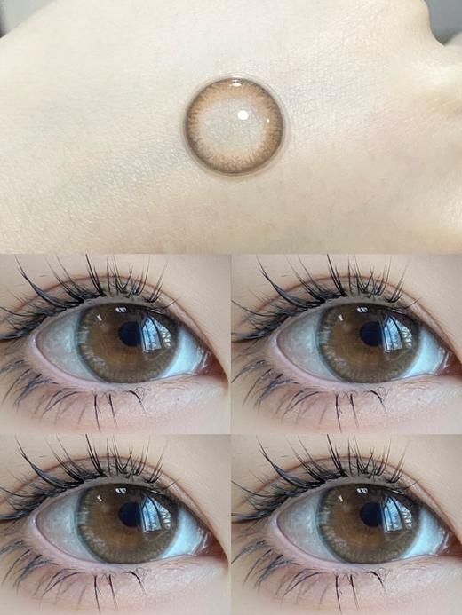 贵妇年抛Winni·Hebe棕·14.5mm中大着色·韩产2片 商品图8