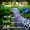 【滋补赞鸽猫粮】宽福 乳鸽鲜鸡激发食欲 甄选鸽肉科学助长肉 全脂羊奶助益免疫 无肉粉无诱食剂高鲜肉 低油高蛋白 助于骨骼发育 商品缩略图1