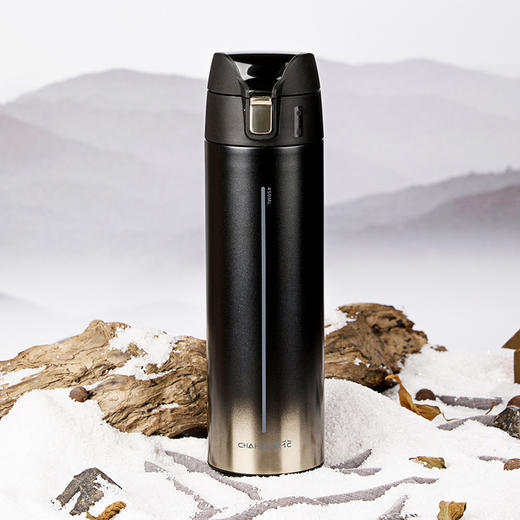 【茶花】按键式不锈钢保温杯450ML 商品图4