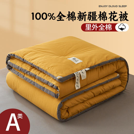 三泰龙 里外全棉纯色冬被新疆长绒棉加厚被子8斤 商品图0