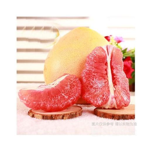 福建红肉蜜柚（精品）(1500±100g) 商品图0
