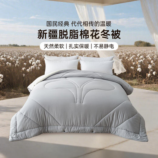 2025年秋冬新款雅芳婷100%新疆棉花被冬季加厚棉被纯棉絮被子被芯 商品图0