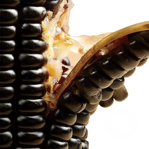 五优谷 黑糯小玉米礼盒2200g 商品图0