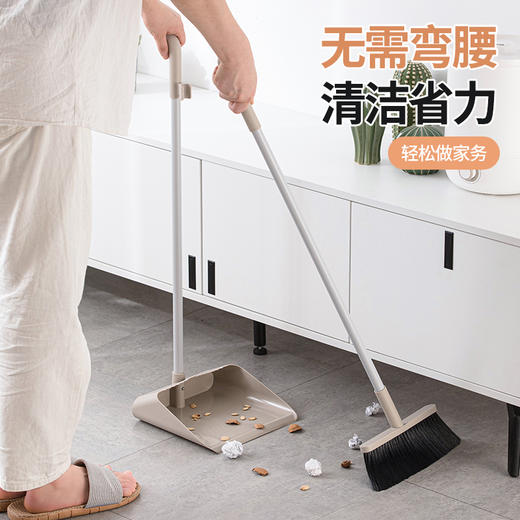 【茶花】扫把套装家用扫帚簸箕组合笤帚厨房卫生间扫地扫头发扫帚 商品图4