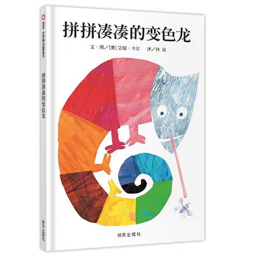 【独家旧书3折】精装儿童绘本 拼拼凑凑的变色龙 二手书籍（新疆 西藏 甘肃 青海 海南不包邮）bj 商品图0
