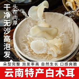 在菌屋 云南农家白玉木耳100g/袋 10斤鲜耳晒1斤干玉耳