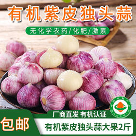 【厂商直发】云南有机紫皮独头蒜2斤/3斤装口感辛辣蒜香浓郁包邮