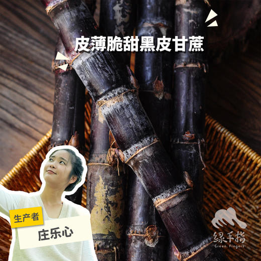 有机黑皮甘蔗（中通） | 合作生产*Organic Sugarcane | Partner Production 商品图0