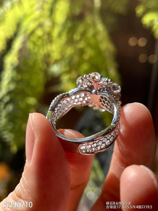 5256710，蛋面戒指。具体价格微信咨询 商品图7