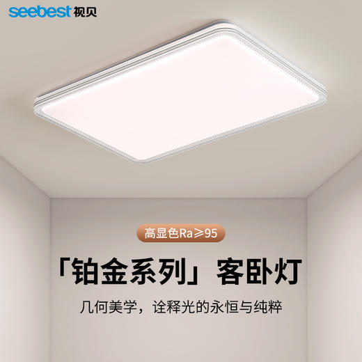 铂金系列-客卧灯 商品图0