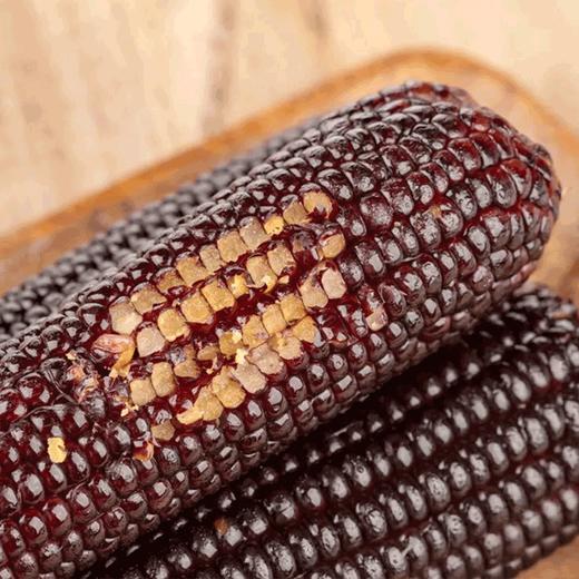 五优谷 黑糯小玉米礼盒2200g 商品图3