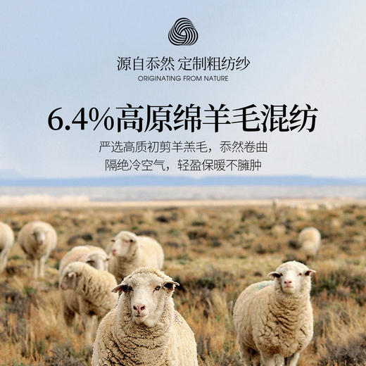 【年货节】熙世界撞色菱格毛衣慵懒高级感套头圆领羊毛针织衫女2025冬季新款 商品图2