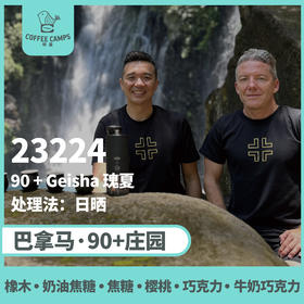 巴拿马 90+ 23224 批次 瑰夏 实验批次（生豆）