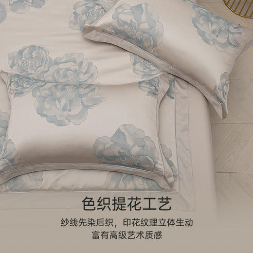 2025年秋冬新款雅芳婷双面磨毛四件套全棉纯棉田园风被套保暖套件 商品图4